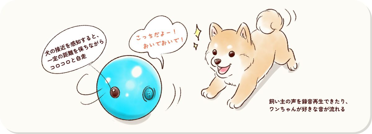 アイデアのネタ帳ペットグッズ「まてまてボール」